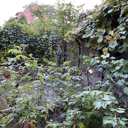 Apartamenty Lux Slowackiego, Przemysl Bagian luar foto